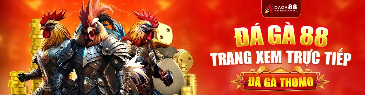 Đá gà Thabet38 Trực tuyến